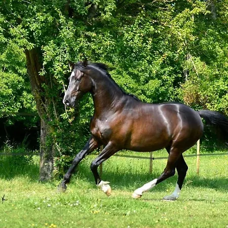 Domaine De Valmeray La Roulotte Insolite