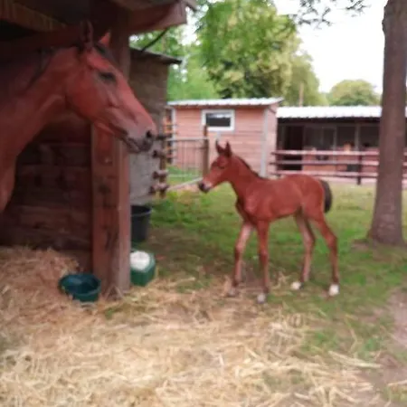 Domaine De Valmeray La Roulotte Insolite Airan